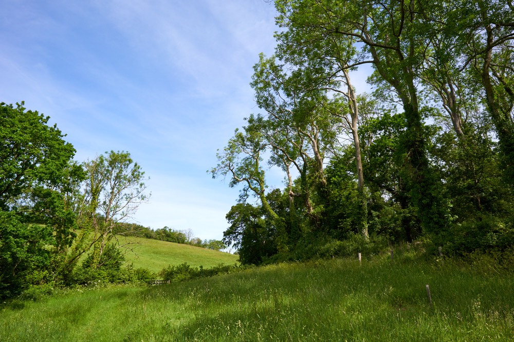 Dorset coastal path and countryside near the Jurassic Coast