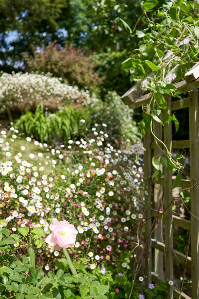 Terraced garden at 1 Rose Cottage